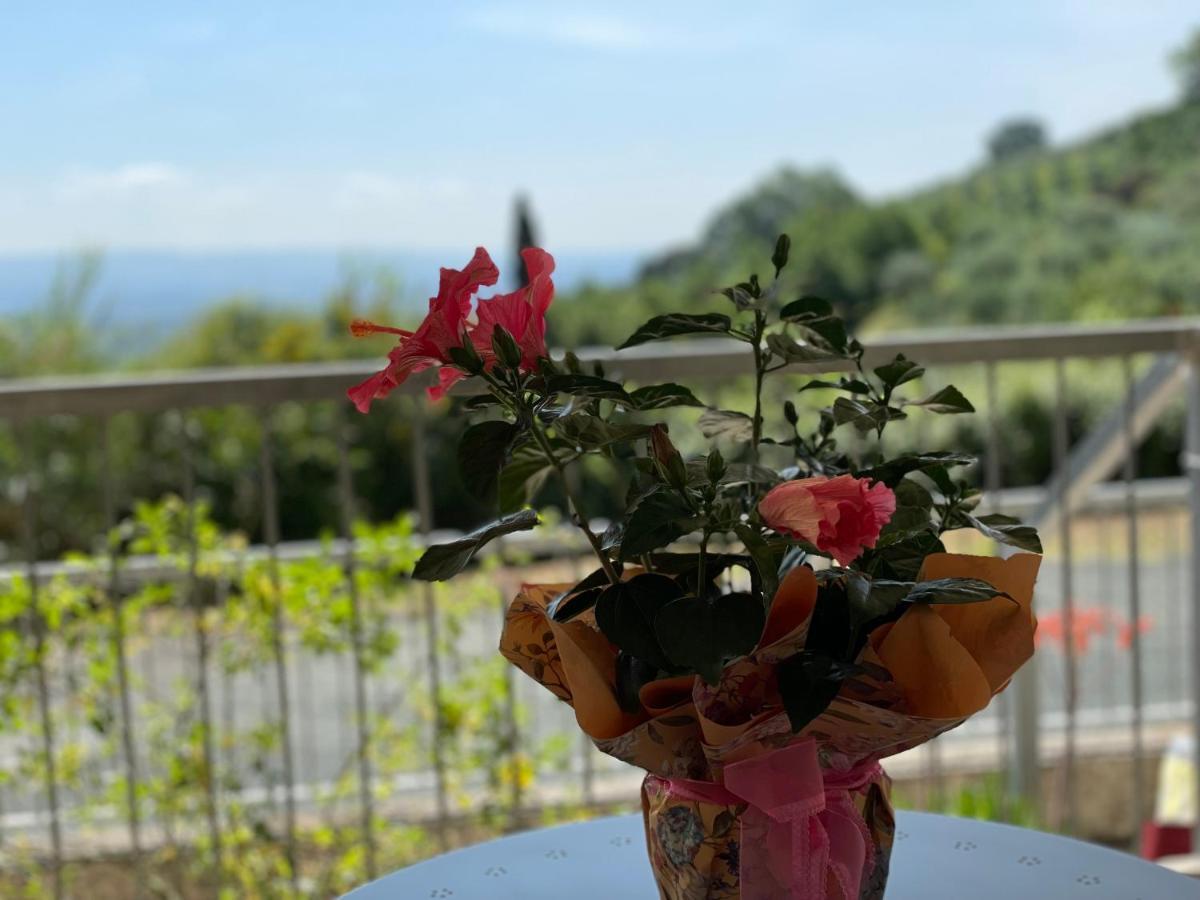 Appartamento A Casa Di Silvia Gambassi Terme Esterno foto