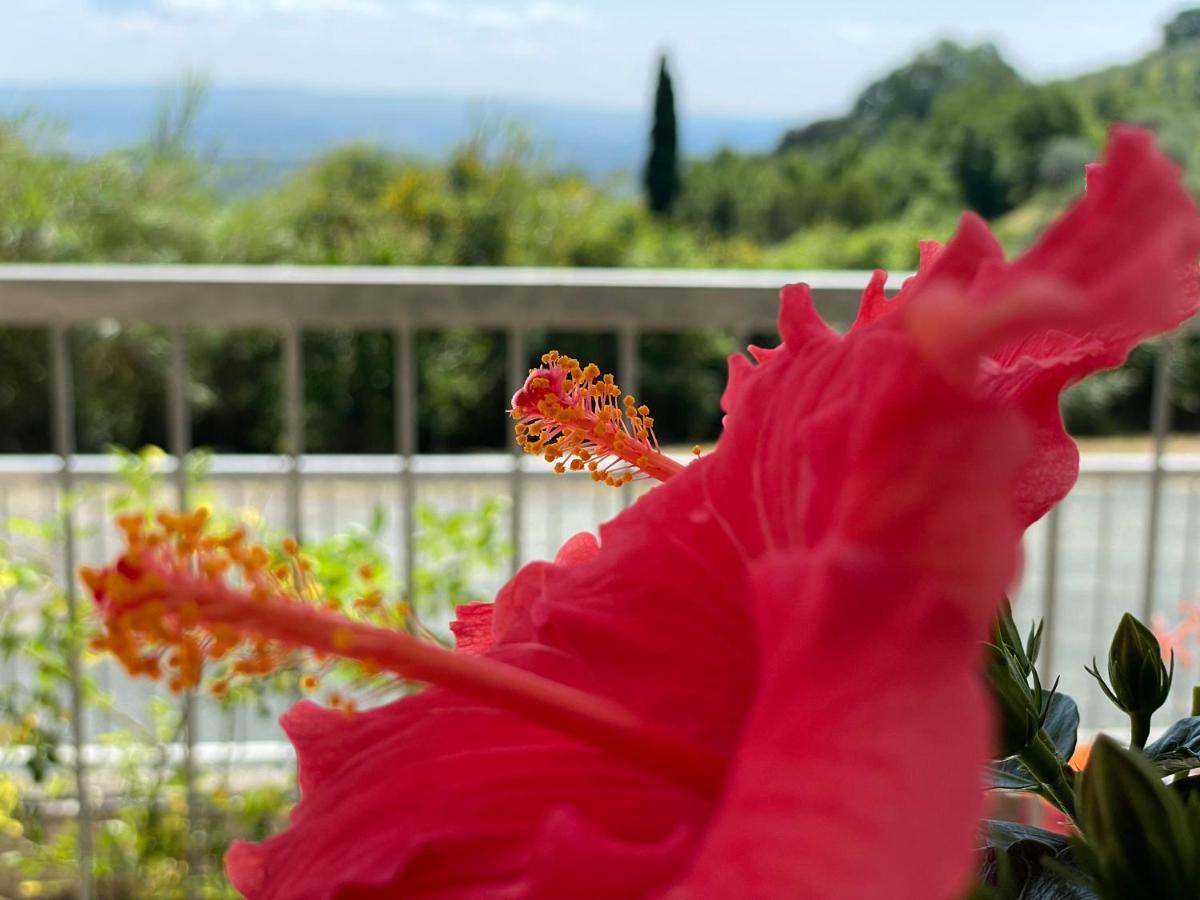 Appartamento A Casa Di Silvia Gambassi Terme Esterno foto