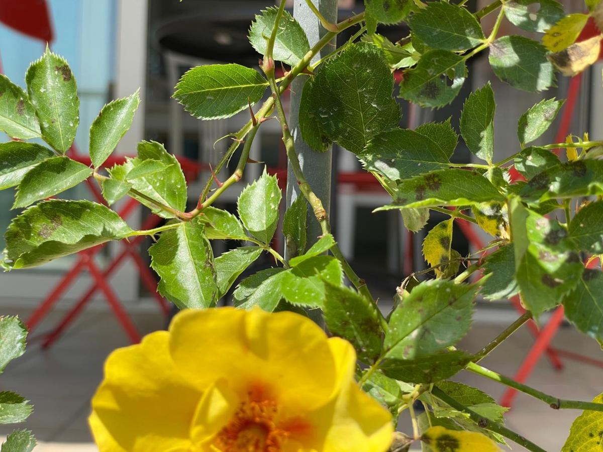 Appartamento A Casa Di Silvia Gambassi Terme Esterno foto