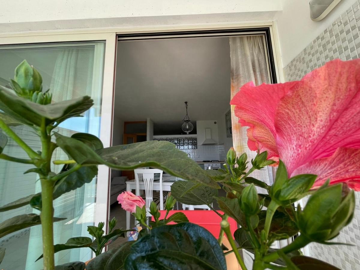 Appartamento A Casa Di Silvia Gambassi Terme Esterno foto