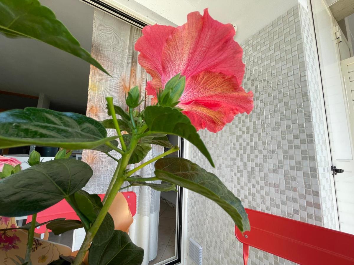 Appartamento A Casa Di Silvia Gambassi Terme Esterno foto