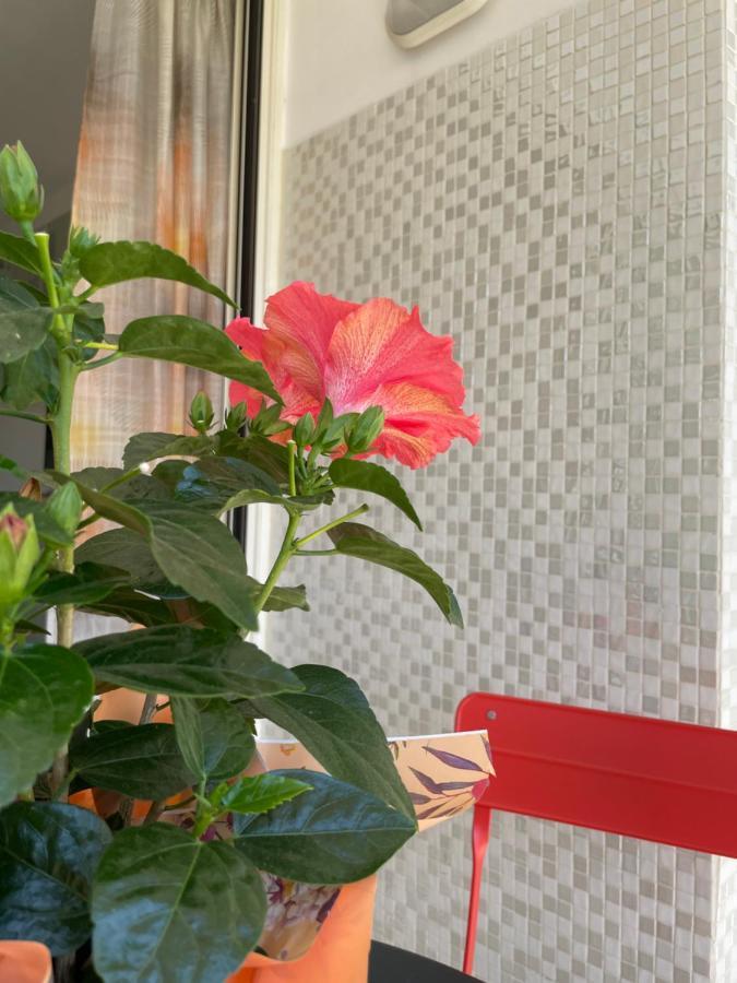 Appartamento A Casa Di Silvia Gambassi Terme Esterno foto