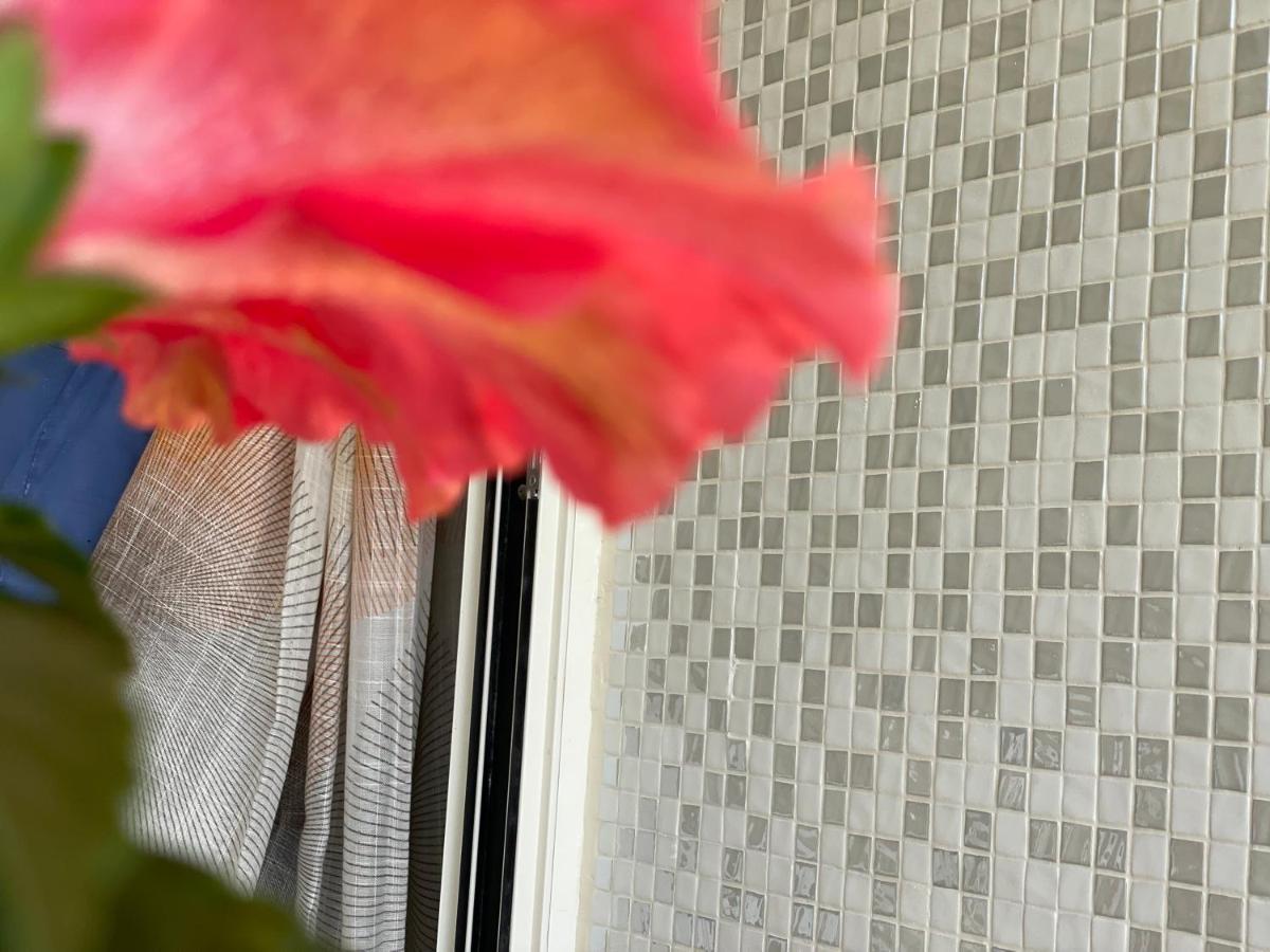 Appartamento A Casa Di Silvia Gambassi Terme Esterno foto